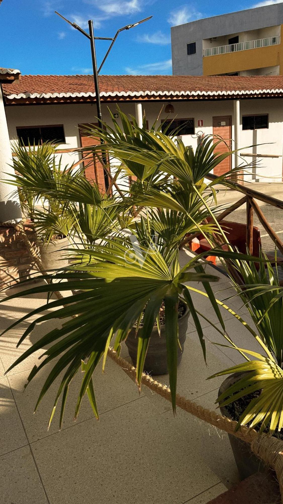 Village Comfort Hotel Canindé de São Francisco Exterior foto